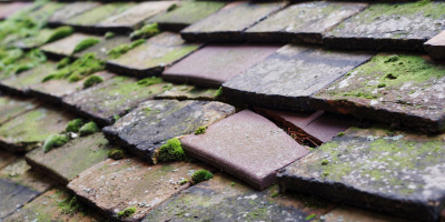 Green Street Green roof repair costs